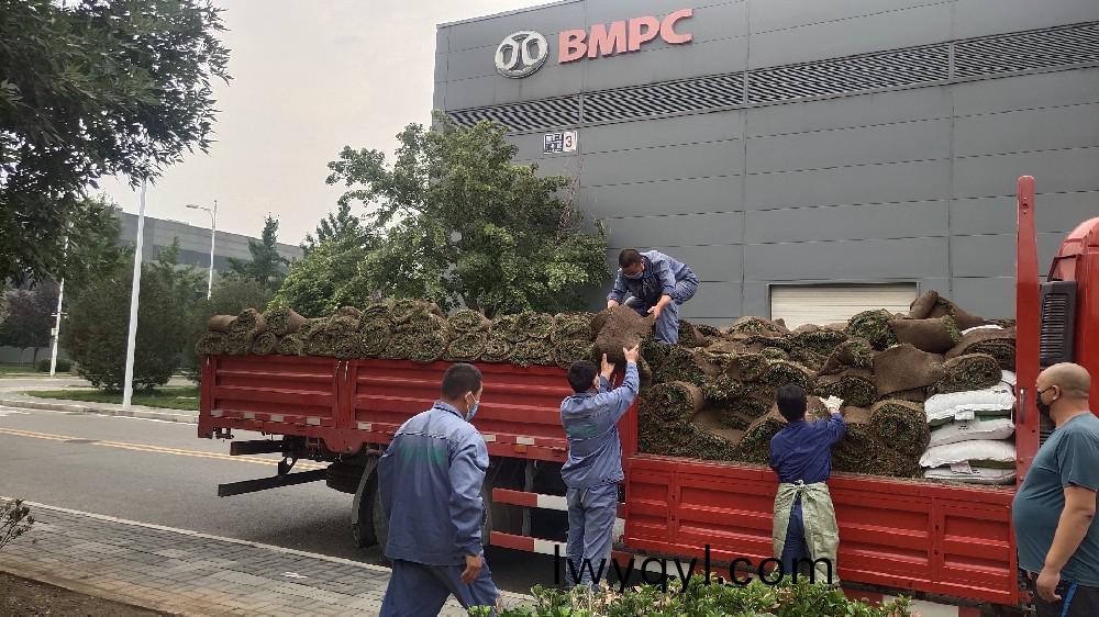 綠(lv)化(hua)工(gong)程(cheng)