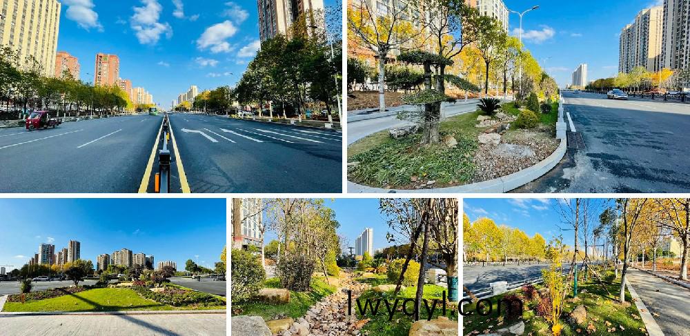 信陽(yáng)市新五大(da)道綜郃(he)改(gai)造(zao)項(xiàng)目EPC工程(cheng)總承(cheng)包K5+420-K8+381段(duan)景觀(guān)(guan)綠(lv)化(hua)工(gong)程